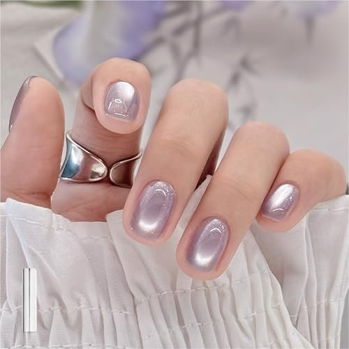 GAOY Jelly Purple Cat Eye Gel Nail Polish, 16ml Glitter Holographic Nail Polish with Magnet, Reflective Translucent UV Gel